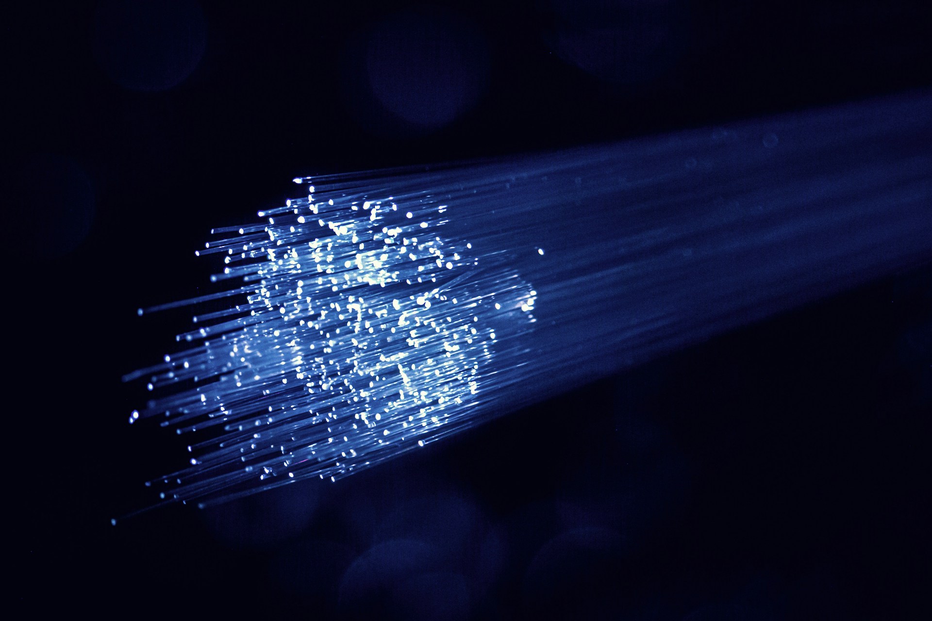 A bundle of illuminated optical fibers in blue and white light.